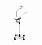 Facial Steamer On Wheels, 2 In 1 With Magnifying Lamp