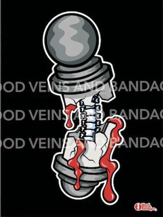 Spine Anatomy Poster by BVB 